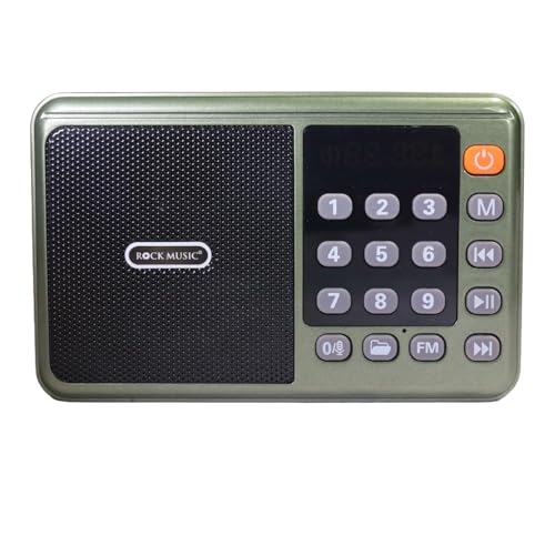 Image of Wireless Bani & Nitnem Speaker Radio with FM, SD Card, Bluetooth,New Type-c Charging (Punjabi /Sikh /Waheguru Simran Speaker /Music Player)