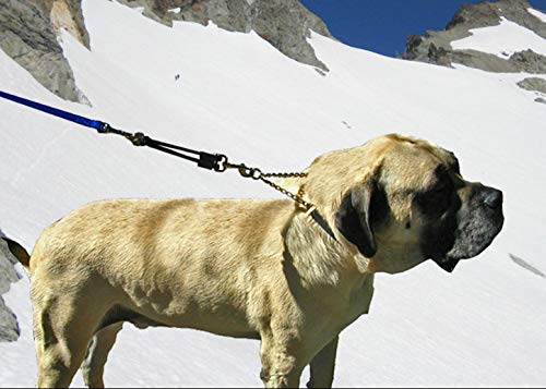 JERK-EASE Bungee Dog Leash Extension - Large Blue