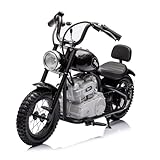 NEWWARE 36V Electric Dirt Bike for Boys & Girls, 350W Ride on Electric Motorcycle with Twist Grip Throttle, Power-Off Brake, Headlight, Key Start, Speed up to 15.5 mph, Age 14+ (Black)