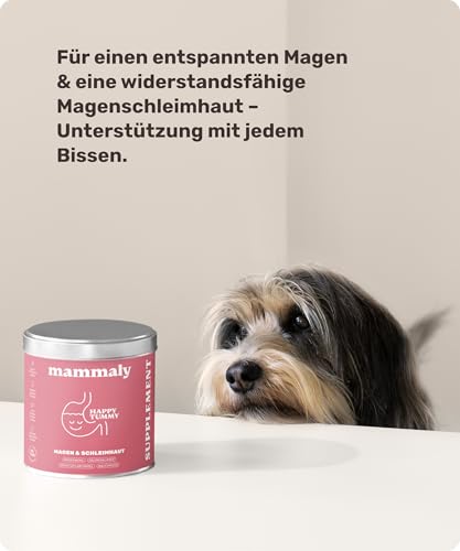 11-in-1 Gras und Kotfresser Drops Hund - Happy Tummy 120 Snacks (350g) von mammaly - Gegen Kot und Grasfressen für Hunde - Unterstützt bei Sodbrennen den Magen & Darm - Mit Ulmenrinde, Probiotika, ...