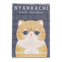 Amazon｜りぶはあと ハンカチタオル にゃんかち エキゾチックショート