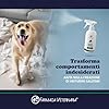 Farmacia Veterinaria - Disabituante Repellente per Gatti e Cani - Spray Anti Pipi Dissuasore Elimina Odori - Divano Mobili Tessuti Interno Esterno 500ml