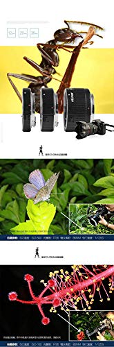 Dg-C Auto-Focus Macro Lens Extension Tube Set (12Mm, 20Mm, 36Mm Length) For Canon Ef/Ef-S Mount Lenses N Dslr Camera 5D2 5D3 5D4 6D 7D 70D 80D 700D 760D 1300D T7 T6I T5I #TOP4