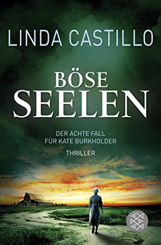Böse Seelen (Kate Burkholder ermittelt) 3596298016 Book Cover