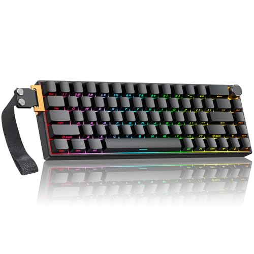 TECURS Aluminum Chassis Wired Magnetic Switch Mechanical Gaming Keyboard, 65% Compact Hall Effect Keyboard with RGB Lighting, Side-Printed Keycaps, Hot Swappable, Volume Knob, Customizable, US Layout