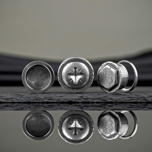 COOEAR Stainless Steel Ear Gauges Flesh Plugs and Tunnels Piercing Expander, Sun and Moon Matched Stretchers.2