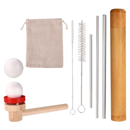 Fukaisu 10pcs Sound Straw Vocal Training and Auxiliary Tools Stainless Steel Singing Straw Vocal Trainer with Brush Canister & Bag for Breath Control Voice Warm-Up