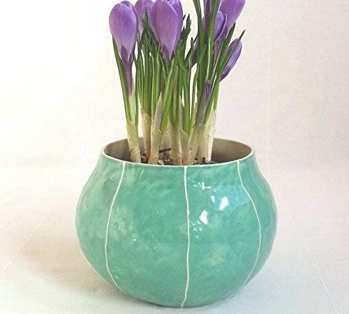planter for indoor potted plants by Kri Kri Studio.