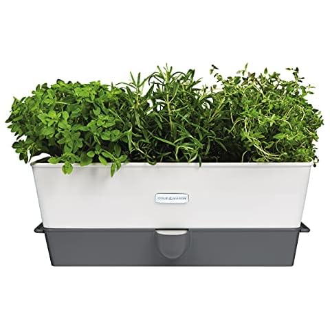 Cole & Mason Self-Watering Herb Saver Cover