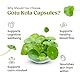 H&C Gotu Kola (Centella Asiatica) Kapseln - 900mg pro Portion, 120 Stück | für Gedächtnis und Konzentration