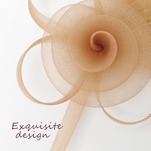 Image of DRESHOW Fascinators Hats for Women Tea Party Fascinator Hats Vintage 50s Headwear Cocktail Wedding Church Derby Hat