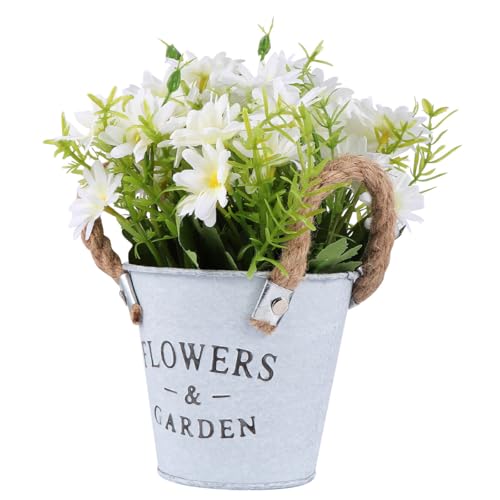 FRCOLOR AȃfCW[~ A plHA zCgJ[ ̓  Rȕ͋C̎ CeA R[q[e[u