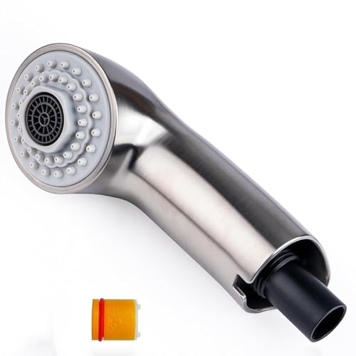 Pull-Out Spray Wand for Grohe Parts 46312SD0 / 46298SD0 Replacement for Grohe Pull Out Kitchen Faucet Parts RealSteel