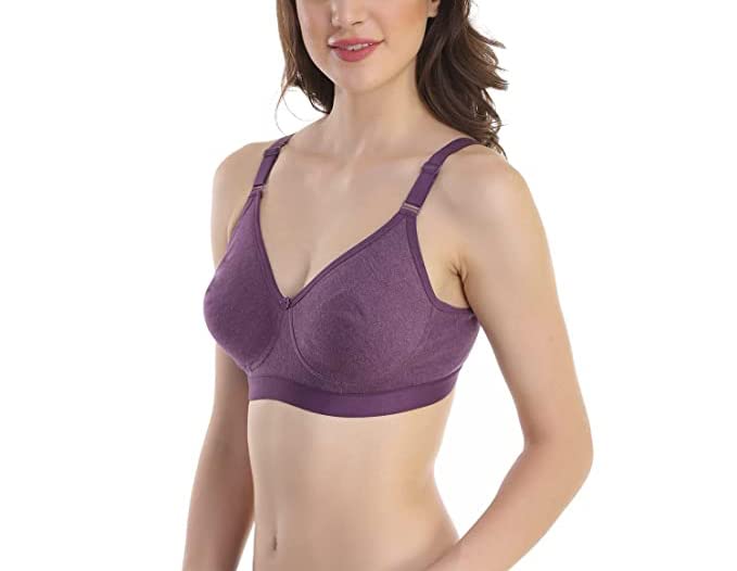 Image of SKDREAMS Blue & Brown & Purple-32D Cotton Blend Seamless Non Padded Non-Wired Full Coverage Pack of 3 Women T-Shirt Bra Combo