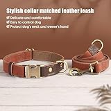 Didog Weiches gepolstertes Lederhalsband für große Hunde, klassisches Hundehalsband mit Metall-Schnellverschluss, verstellbar, großformatig, Kunstleder, Braun, L