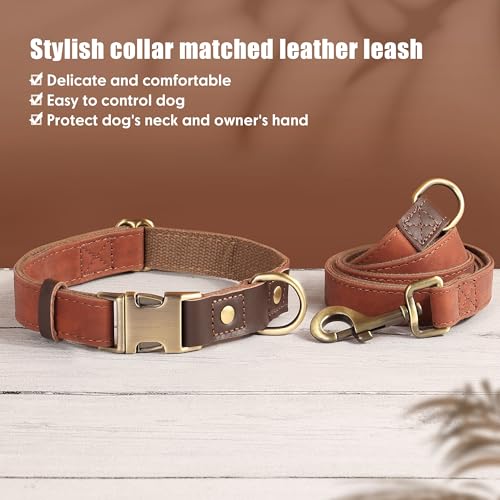 Didog Weich gepolstertes Lederhalsband für mittelgroße Hunde, klassisches Hundehalsband mit Metall-Schnellverschluss, verstellbar, mittelgroß, Kunstleder, Braun, M