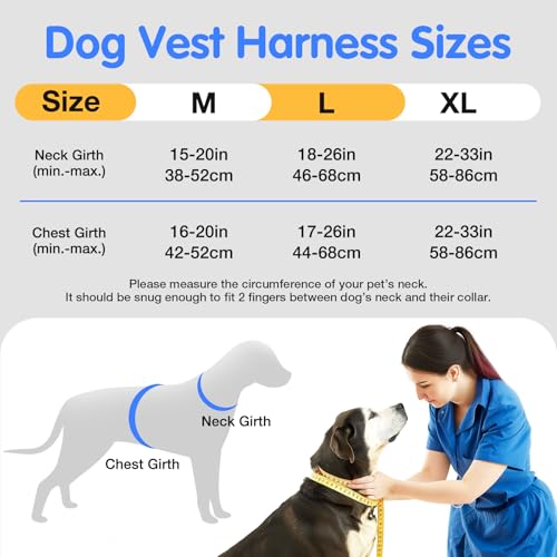 Jewyow Hundegeschirr Leuchtend, Wiederaufladbare LED Hundegeschirr, Led Geschirr für Hunde mit Weicher Griff, 3 Einstellbare Modus, Wasserdicht für Mittelgroße, Große Hund, Blau-L