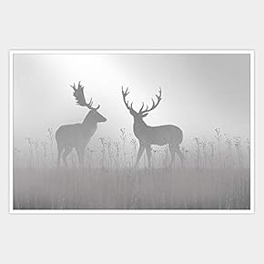 SIGNWIN Framed Canvas Wall Art Black and White...