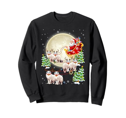 Funny Ragdoll Cat Reindeer Santa Sleigh Merry Christmas PJS Sweatshirt