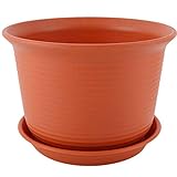 Das Unten für-gebohrt Loch ist gebraucht zum Drainage, so Das das extra Wasser im das Blumentopf werden Leck aus im Zeit.