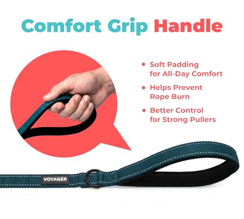Image of Best Pet Supplies Voyager Reflective Dog Leash or Collar with Neoprene Handle, for Small, Medium, and Large Breed Puppies, Cute and Heavy Duty for Walking, Running and Training - Blue (Leash), S