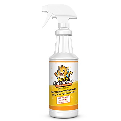 FurryFreshness Premium Pet Stain and Odor Remover - Oxy Powered Carpet Cleaner Spray - Urine Remover for Dogs - Also Works on Litter Boxes as a Cat Pee Odor Eliminator (32oz)