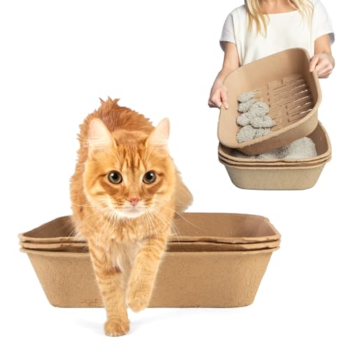 Kitty Sift - Kit Compuesto por 1 arenero y 5 Forros de tamiz, sostenible, Limpio, desechable, para Gatos - Ramaño Jumbo, Kit de 6 componentes