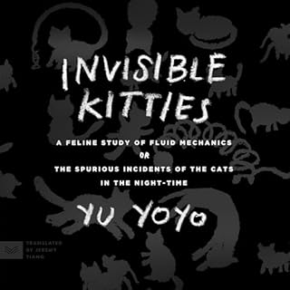 Invisible Kitties Audiobook By Yu Yoyo cover art