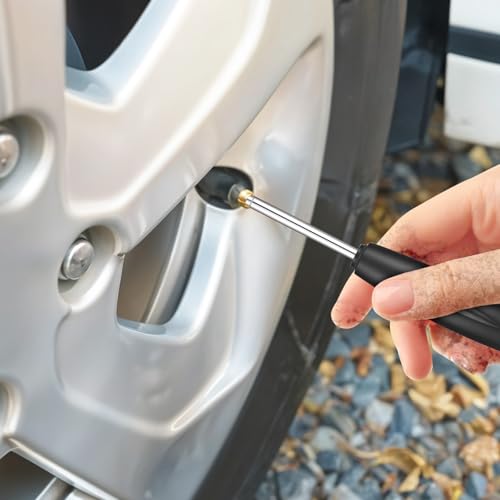 Image of Psyqtsuary 2 Pieces Valve Core Torque Tool Screwdriver Tire Valve Stem Core Remover Tool Valve Core Removal and Installation Tools for All Standard, Silver