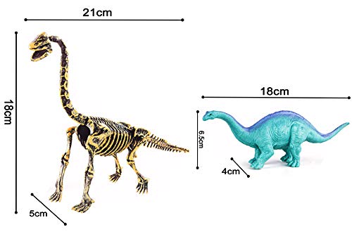 TengRui Giocattolo archeologico di scavo fossile