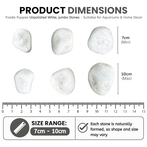 Image of Foodie Puppies Unpolished White Decorative Stones (5Kg, Jumbo Extra Large) (8cm - 12cm) for Garden Landscaping, Swimming Pools, Fish Tanks, Home Decor, Indoor & Outdoor Decorative Pebbles