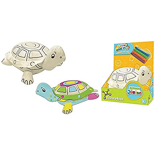 Peluche Lavabile - Tartaruga