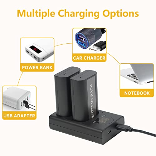 DSTE DMW-BLJ31 DMW-BLJ31E - Batería de repuesto y cargador USB dual con pantalla LCD compatible con Panasonic LUMIX S1, LUMIX S1R, LUMIX S1H, DMW-BGS1R - imagen 5