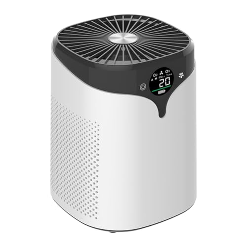 Wdesrgt Purificador de Aire con Pantalla Digital para Eliminar Formaldehído, Olor A Humo Doméstico, Iones Negativos, Estilo: 2.0Pro