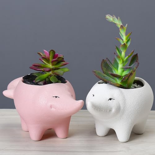 Jolis pots de fleurs en céramique crocodile à offrir pour la maison - 7