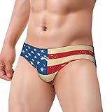 Men's Cheeky Brief Bikini Swimsuit (Vintage Retro American Flag)