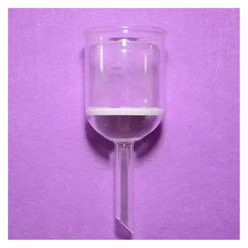 Entonnoir Büchner en verre 250ml G3.3 pour filtration sous vide de laboratoire