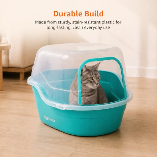 Image of Amazon Basics Semi Enclosed Cat Litter Box | Large Litter Tray | Easy Clean Cat Washroom for Indoor Cats | Green & Transparent | 42 X 49 X 63 cm | Suitable for Kittens & Adult Cats