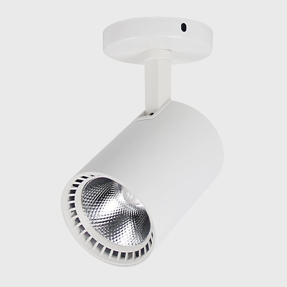 Lámpara de techo de aluminio blanco de alta calidad con foco orientable LED