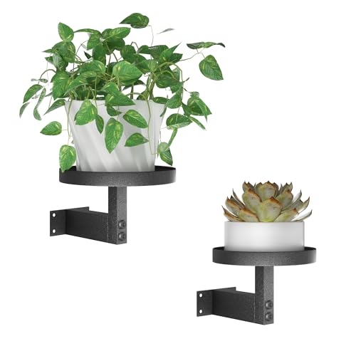 kmsuperb Wall Plant Holder – Set of 2 Wall-Mounted Planters (15 & 17cm) Open Plant Shelf for Indoor & Outdoor Plants, Modern Plant Hanger, Matte Black Metal Design for Stylish Home Decor
