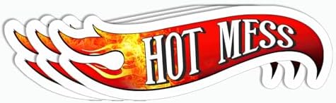 3Pcs - Hot Mess Sticker - Adult Sticker - Sarcastic - Girlfriend - Boyfriend - Laptop - Water Bottle - Tumbler - Phone - Computer image 5