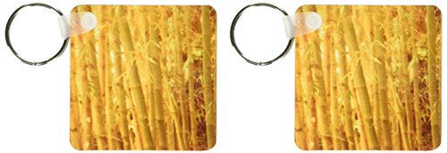 Porte-clés Bambou Jaune 3drose lot de 2 pièces de format 5,7 x 11,4 cm