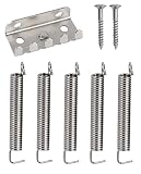 TUOREN 8pcs Vintage Tremolo Tension Springs Claw Kit Electric Guitar Tremolo Bridge Springs Compatible with Fender Stratocaster Floyd Rose Style Electric Guitar (Silver)