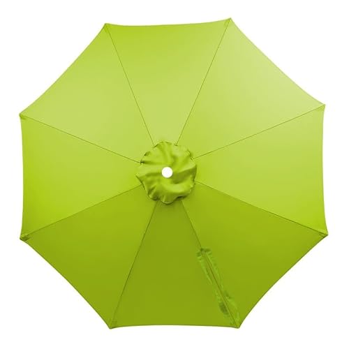 p\Pz K[fp\ n UVJbg ^  TPuz ւLms[ p H ɋ tȒP |GXe  JtF ނ r[` (O[,2M/6Ribs)