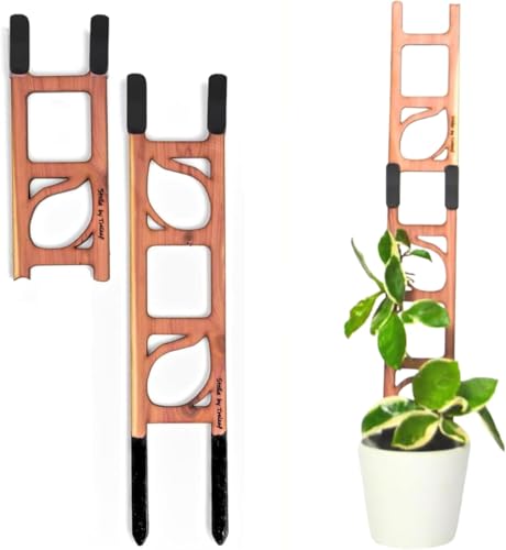 Stella - Modular ladder support