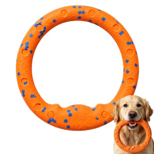 XoeLLe Jouet pour Chien Fonction Flottante pour Jouer dans l'eau