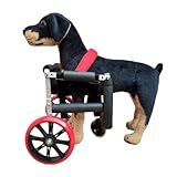 Pet Front Leg Wheelchair | Adjustable Mobility Aid with Foam Tubing & Silent Wheels | Breathable Harness for Dogs & Cats(XXS)