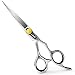 Professional Hair Cutting Scissors 6.5 Inch ULG Barber Shears Japanese Stainless Steel Haircut Tools Salon Razor Edge Series with Adjustment Tension Screw