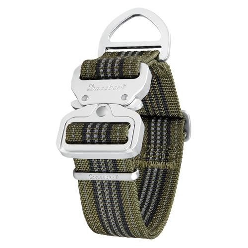 Dazzber Reflective Padded Dog Collar