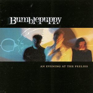 Evening at the Feelies [Audio CD]
